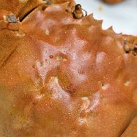 大闸蟹，秋日里的“味觉黄金”