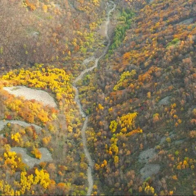 10.6-10.7丨中级丨东猴顶：东沟赏秋（新线，小众绝美秋色）
