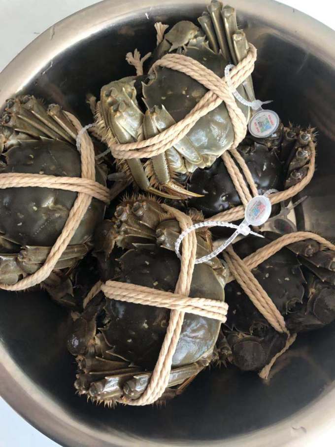 阳澄易顺蟹类