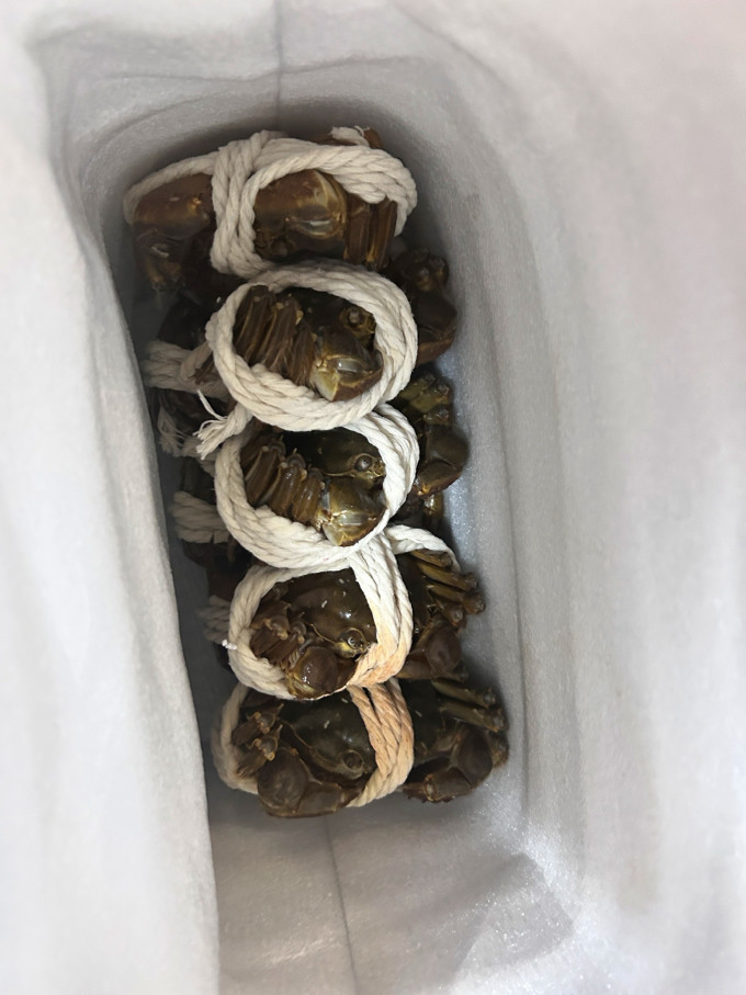 阳澄周末蟹类