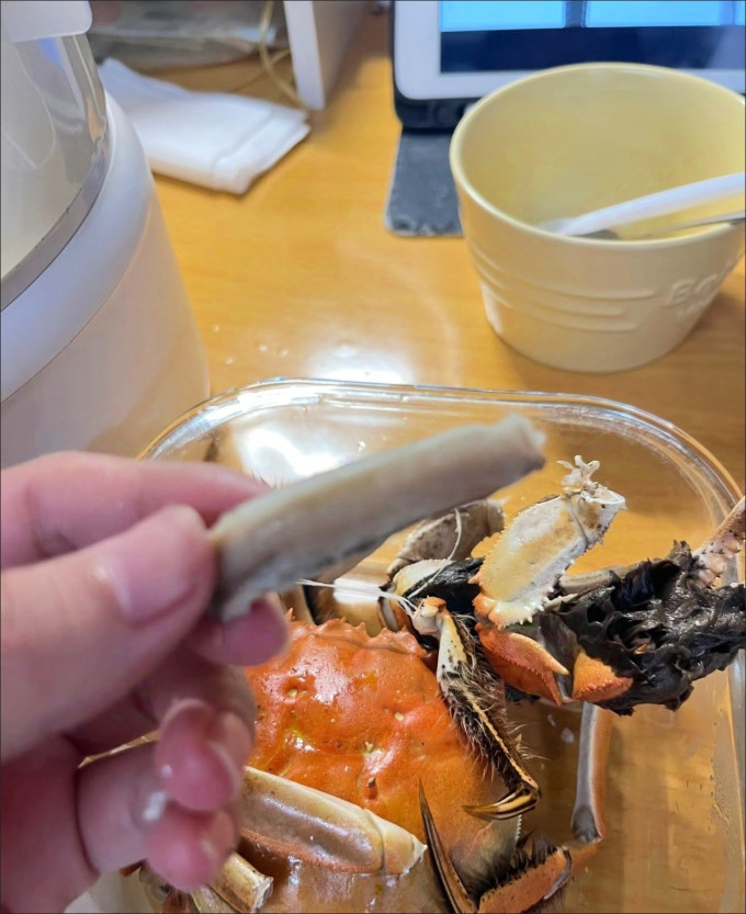 阳澄易顺蟹类