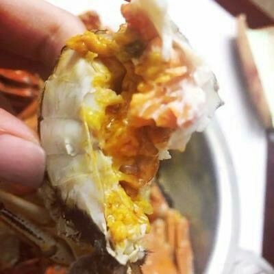 开湖尝鲜！军山湖全母蟹，中秋送礼太拿得出手