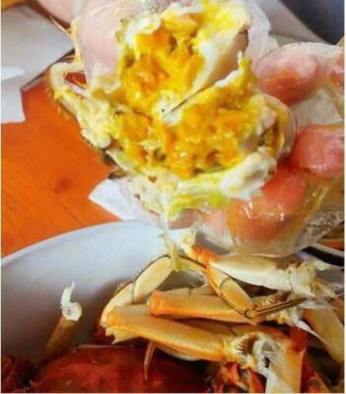蟹叁钳庄蟹类