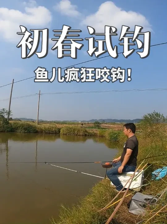 春季用对饵料，鱼儿疯狂咬钩！钓到小爆护了 春季钓鲫鱼爆护小技巧#钓鱼 #钓鲫鱼 #爆护饵料