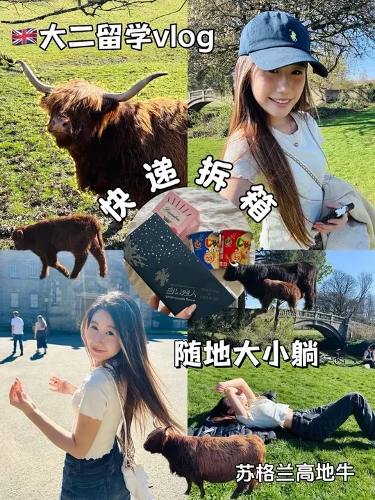 英国大二留学vlog｜超可爱苏格兰高地牛牛🐮日淘开箱！！
最近在Paris 到时候发美照给大家🩷
#vlog日常 #英国留学 #留学生 #留学 #海外生活