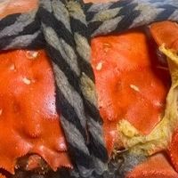 黑绳锁鲜大闸蟹清蒸全攻略：一口沦陷的蟹黄盛宴与弹嫩蟹肉

 