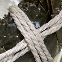 浅色棉绳大闸蟹烹饪全攻略：从鲜活到膏黄满溢的美味蜕变