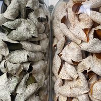 新会陈皮，成嫁妆新宠：东方顶级浪漫