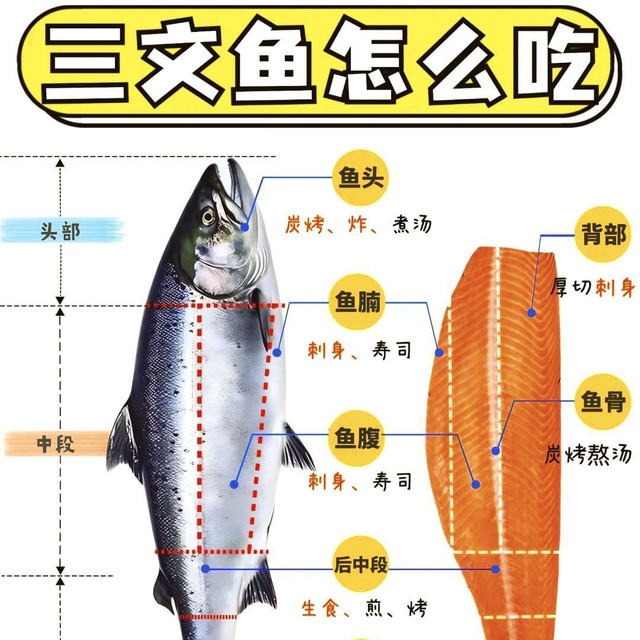三文鱼各部位口感排名揭秘
