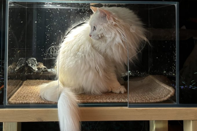 御宠坊猫爬架