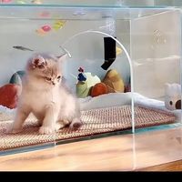 猫鱼双党救星！全封闭猫砂盆让我告别清洁噩梦