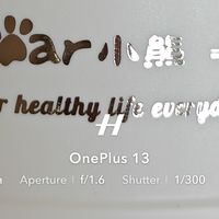 一机双盖:小熊顿顿榨汁杯