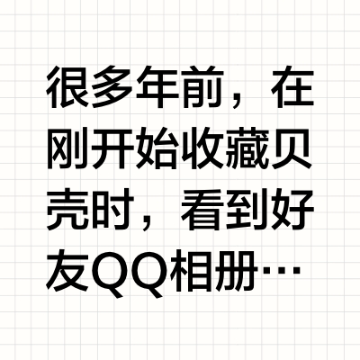 一对精彩的猎帽宝螺