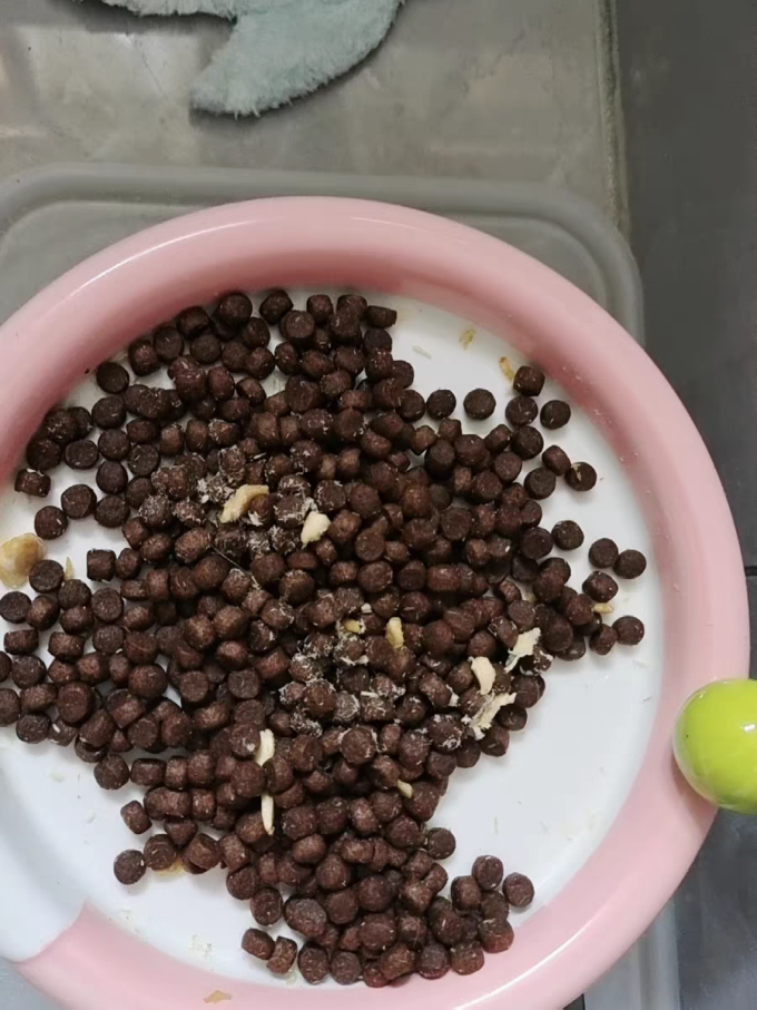 倍内菲猫咪干粮