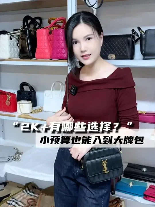 小预算大牌包有哪些选择？#奢厘子表姐 #包包种草 #大牌包包推荐 #奢侈品包包 #性价比超高