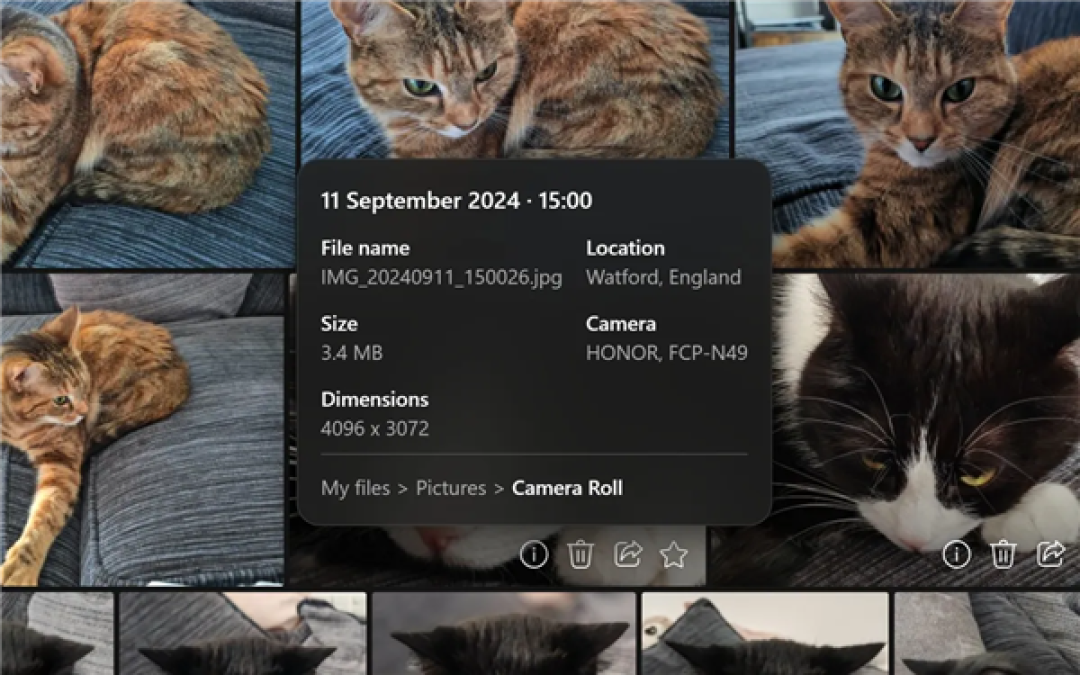 抢先看!微软尚未官宣:Win11全新OneDrive从官方服务器流出