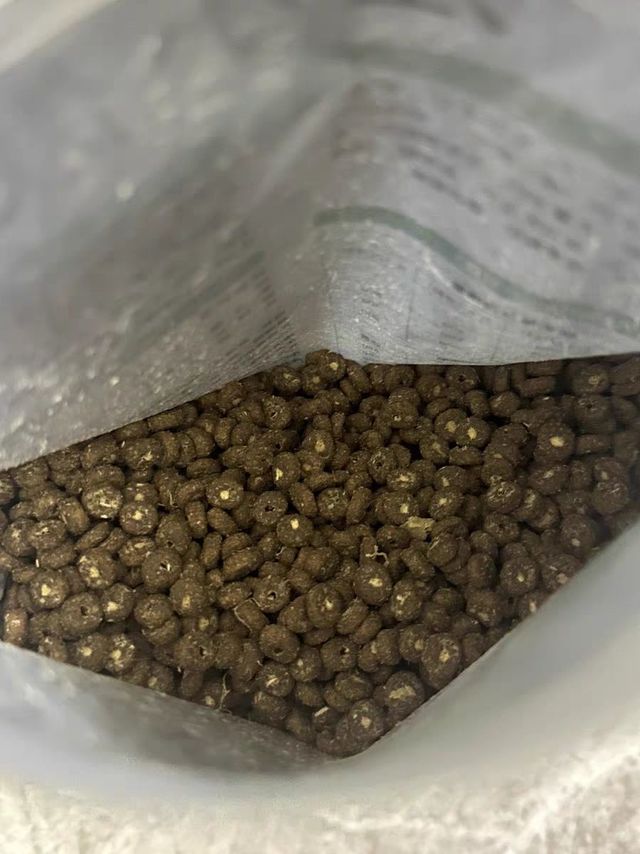 江小傲羊奶乳鸽猫粮，好物推荐