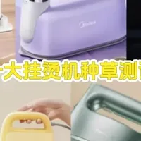 挂烫机品牌怎么选？蒸汽电熨斗排行榜前十名直推，一文解读