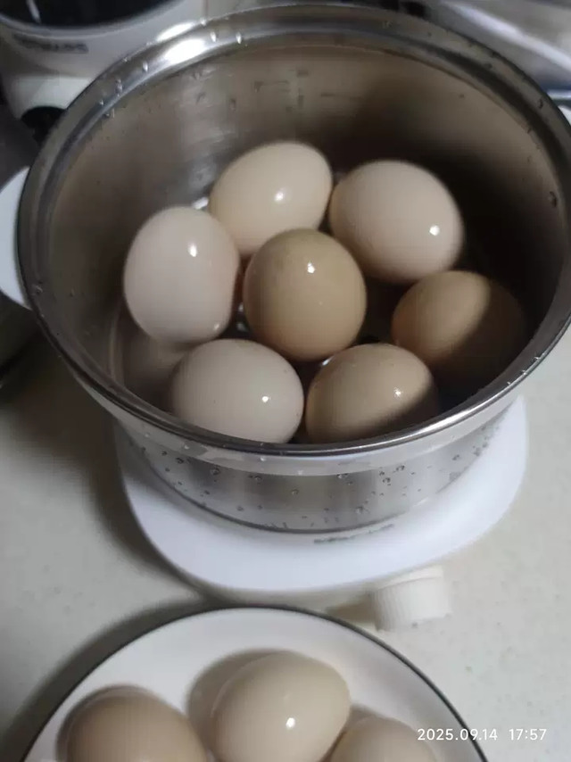 双11小熊蒸蛋器体验：实用便捷