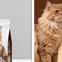 别再用PS做实拍产品图了！用AI 3步生成，轻松保留产品细节！