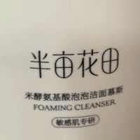 半亩花田氨基酸洁面慕斯：超大瓶温和洁面，一按出泡太方便！