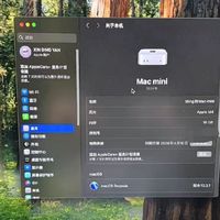 性能小钢炮，价格屠夫！24款MacMini M4：3000元档的生态核弹！
