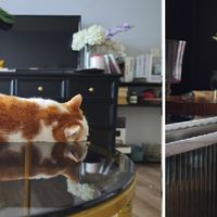 没做定制化，我家的家具都是蚂蚁式搬家——来自网购，效果还不差