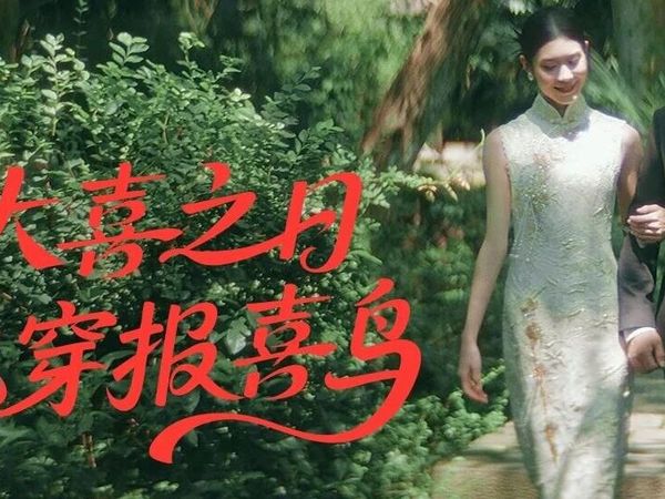 在旧「俗」里长出新「喜」，报喜鸟成为年轻人的婚礼「搭子」