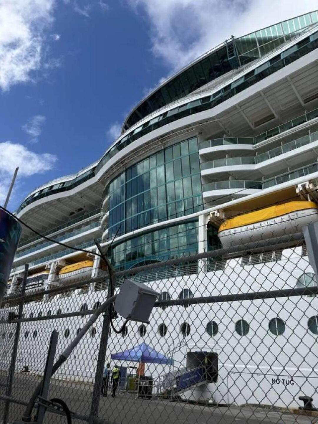 全球邮轮诺如疫情暴增:密闭空间叠加防控漏洞酿豪华旅程卫生危机