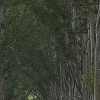 双十一购物攻略与推荐