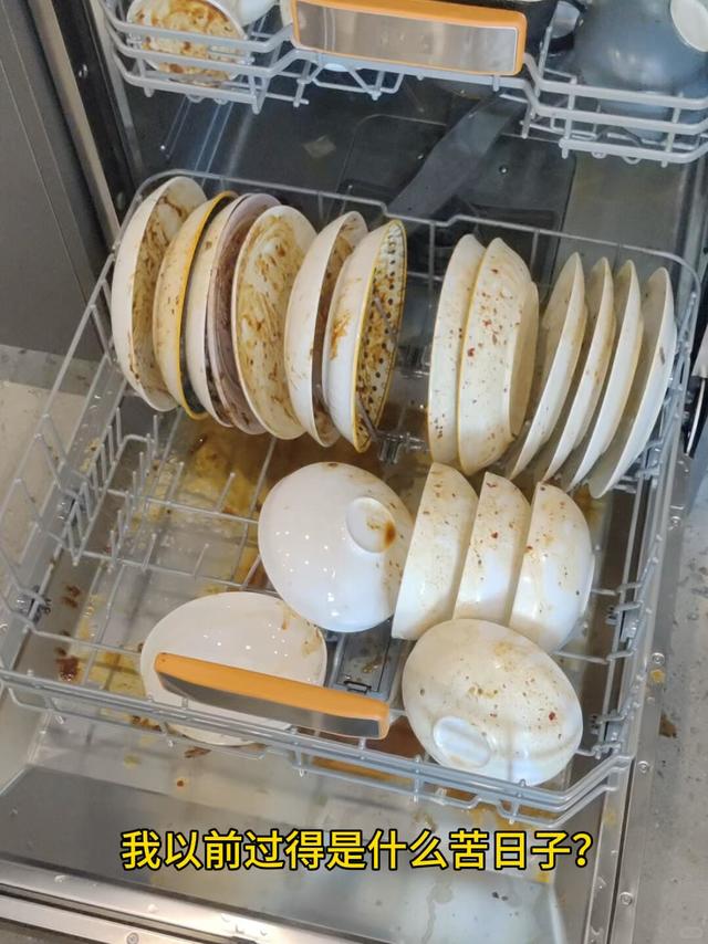 洗碗机，你才是我的神