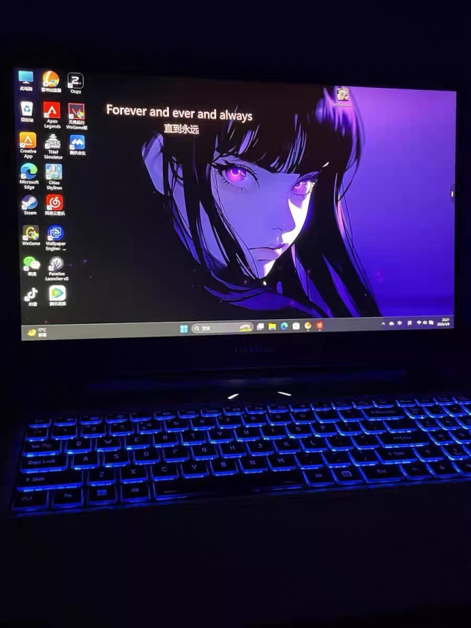 七彩虹笔记本电脑
