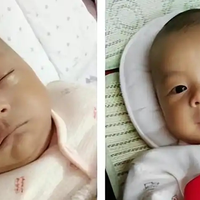 基因就像开盲盒！夫妻俩的遗传基因，到底谁决定孩子的智商和相貌