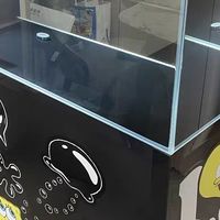 客厅超白玻璃水族箱设计