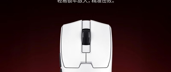 双十一电竞党必冲！多彩M800mini Pro：三模全能鼠竟把性价比