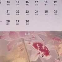 vivo iQOO 13使用体验：电竞性能与日常实用的完美平衡