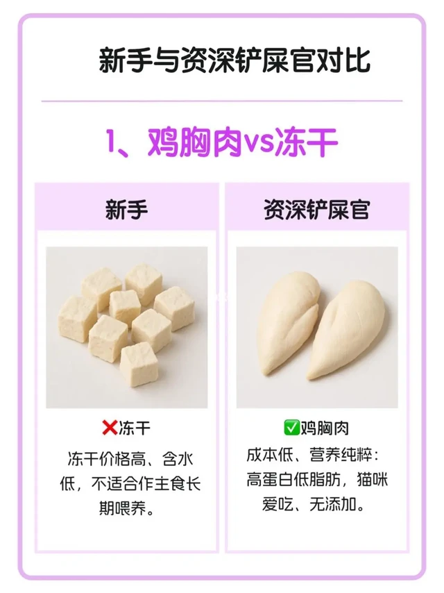 可以把猫咪养的很好。1、鸡胸肉 vs 冻干
❌ 新手：选择冻干
冻干价格高、含水低，不适合作为主食长期喂养。
✅ 资深铲屎官：选择鸡胸肉
成本低，营养纯粹：高蛋白、低脂肪，猫咪爱吃且无添加。
2、鸡蛋