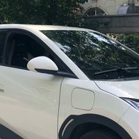 新手司机的海鸥自由版真实体验：城市通勤的完美答案