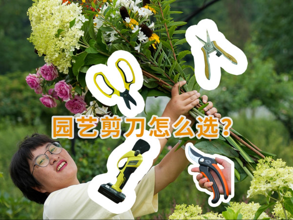 6种园艺剪刀测评，选对工具事半功倍！