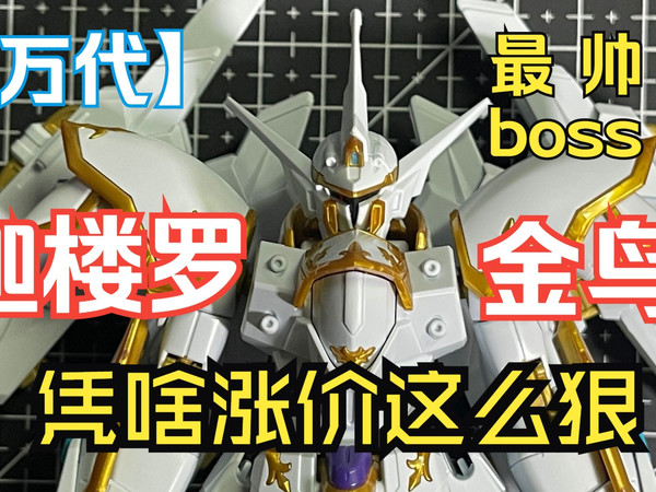 【奖励自己万代】涨到220的最帅boss机到底怎么样？万代HG神鸟迦楼罗