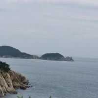 足球怎么样 神奇不在,“浪里马”止步四强_什么值得买