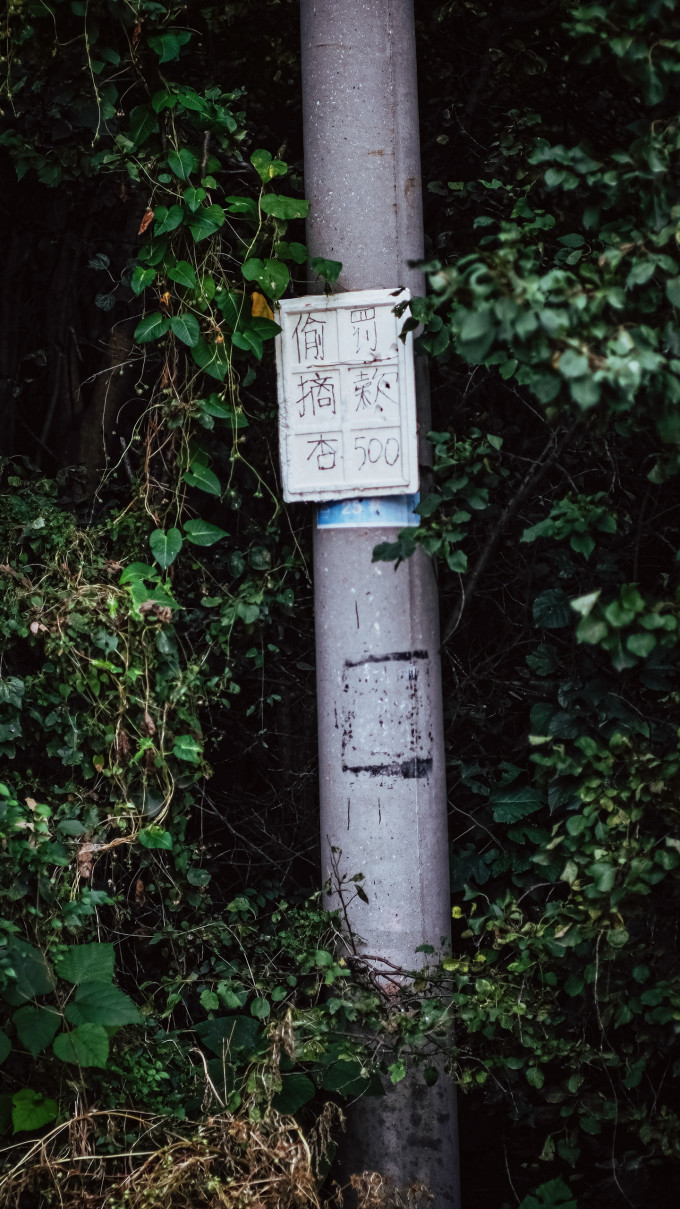 富士相机