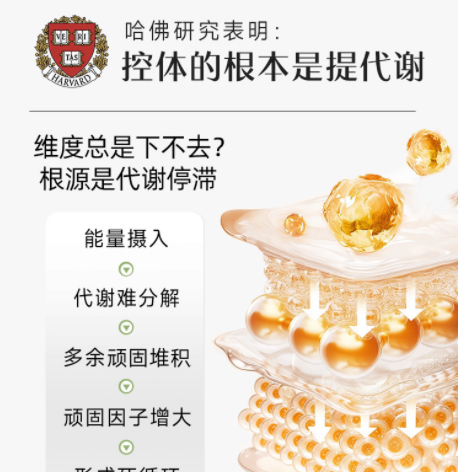谁懂啊！久坐党 / 懒星人的代谢救星终于挖到了✨