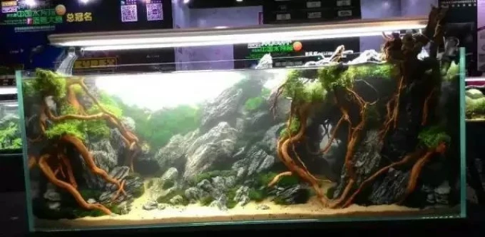 鱼缸