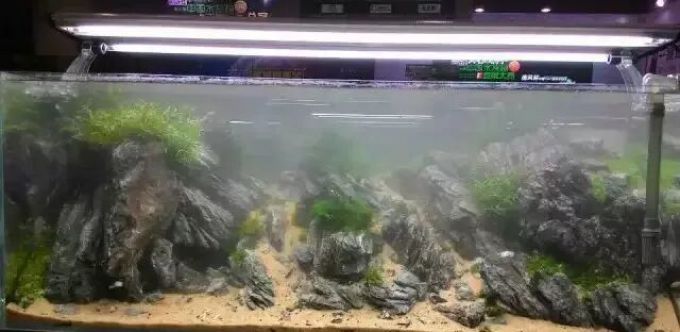 鱼缸