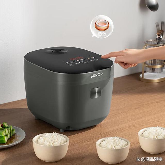 2025年智能家用电饭煲推荐清单：9款性价比高的电饭煲，你知道哪个牌子智能家用电饭煲好？快来看看这些口碑精选！