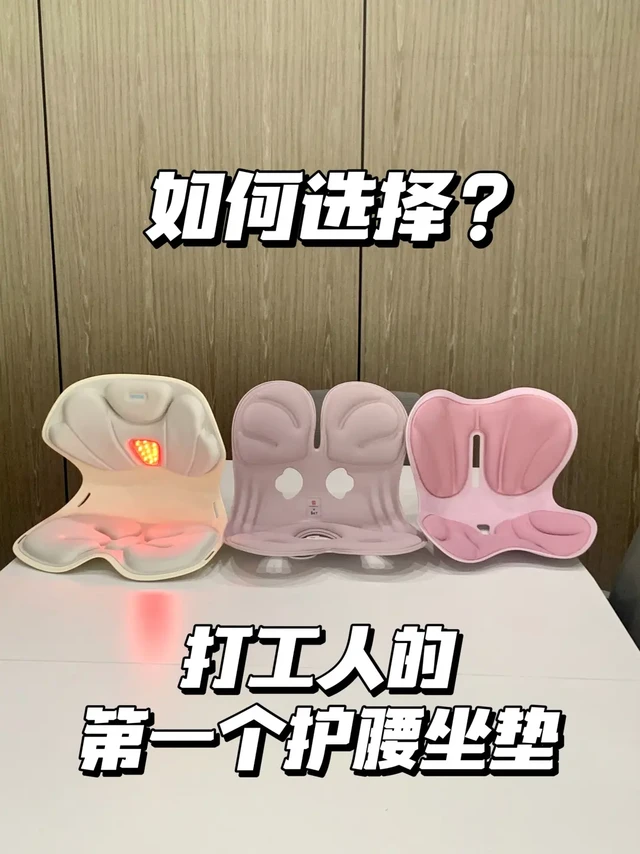 打工同事们自用护腰坐垫比对