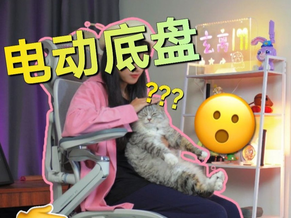 我一直以为,高端人体工学椅就是智商税,直到...
