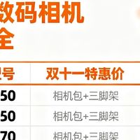 如何在双十一选购实惠数码相机