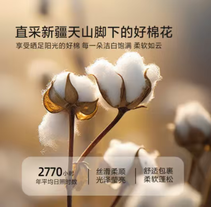 水星家纺被子褥子